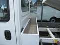 Iveco Daily benne basculante/ kipper Blanc - thumbnail 6