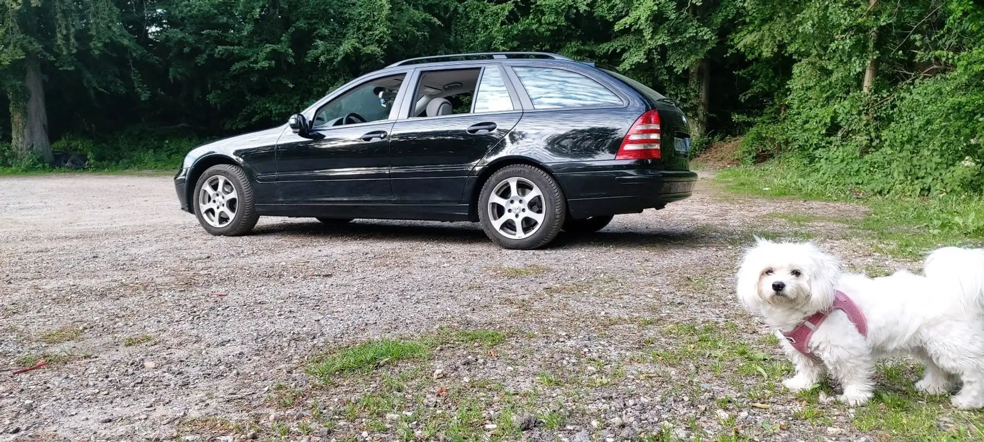 Mercedes-Benz C 200 T CDI Classic DPF,Lesen!! - 1
