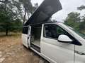 Volkswagen Transporter Transporter T6 - L2H1 - 4Motion (4x4) - 2018 Alb - thumbnail 25