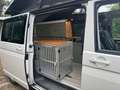Volkswagen Transporter Transporter T6 - L2H1 - 4Motion (4x4) - 2018 Alb - thumbnail 27