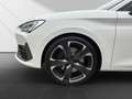 CUPRA Leon 2.0 TSI VZ*Navi*LED*ACC*DCC*Kessy*DAB+* Weiß - thumbnail 11