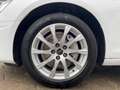 Audi A4 40 TDI S tronic Navi AHK Head-Up Blanc - thumbnail 16