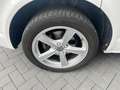 Volkswagen T6 Multivan 2.0 DSG Kamera AHK 150PS Blanc - thumbnail 20