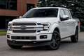 Ford F 150 Todoterreno Automático de 5 Puertas Blanc - thumbnail 3
