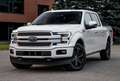 Ford F 150 Todoterreno Automático de 5 Puertas Blanc - thumbnail 26