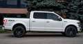 Ford F 150 Todoterreno Automático de 5 Puertas Blanc - thumbnail 7