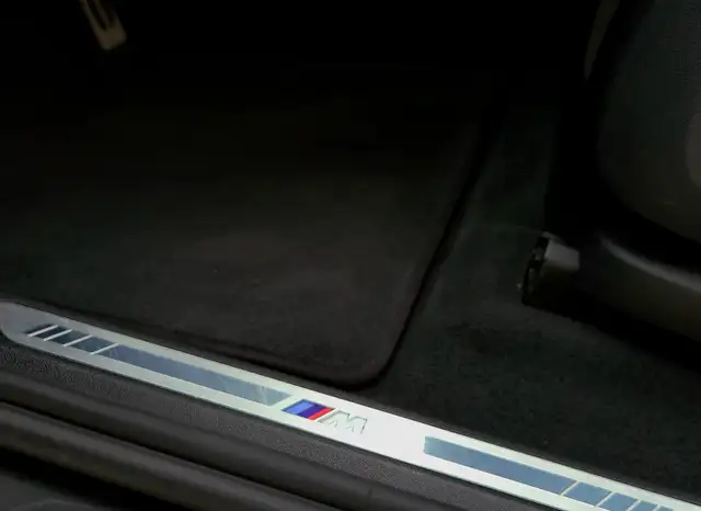 BMW X6 30d*M PAKET*1.BESITZ*ACC*RFK*ALCANTARA HIMMEL Ansicht 24