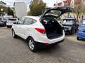 Hyundai TUCSON IX35+ALLWETTER+KLIMA+SITZHEIZUNG+ Weiß - thumbnail 8