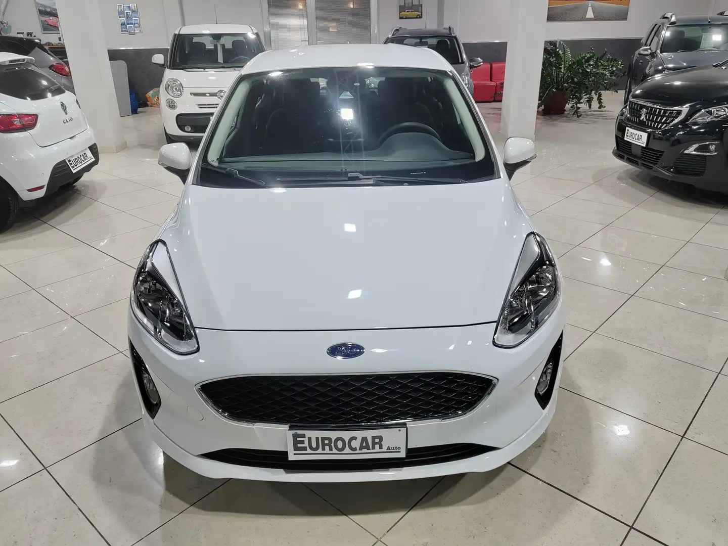 Ford Fiesta Fiesta 1.5 TDCi EcoBlue 85cv Bianco - 1