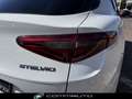 Alfa Romeo Stelvio 2.2 Turbodiesel 190 CV AT8 Q4 Sprint Blanc - thumbnail 6