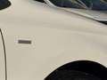 Volkswagen Polo Polo 1.2TSI*MATCH*DSG*NAVI*CAMERA*BT*USB* Bianco - thumbnail 12