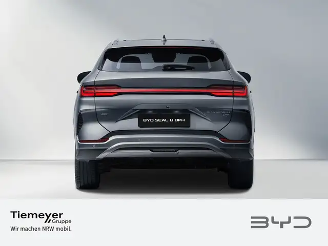 Byd Unknown Model view 3