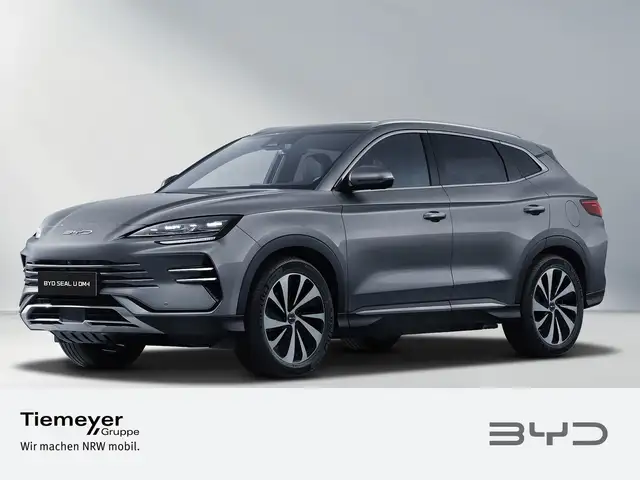 Byd Unknown Model main image