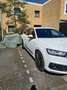 Audi Q7 3.0 TDI q Pro L+ 7p S- Line 175.000km!! Wit - thumbnail 15