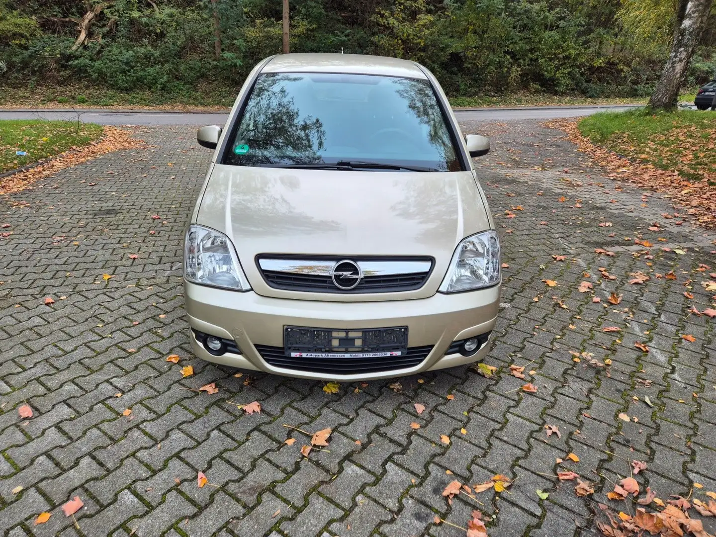 Opel Meriva Edition*TOP*NEU TÜV*GEWAHR* Silber - 1