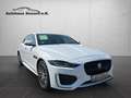 Jaguar XE R-Dynamic  AWD*Black Pack*Navi*Leder*LED* Weiß - thumbnail 1