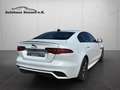 Jaguar XE R-Dynamic  AWD*Black Pack*Navi*Leder*LED* Weiß - thumbnail 7