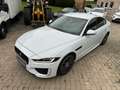 Jaguar XE R-Dynamic  AWD*Black Pack*Navi*Leder*LED* Білий - thumbnail 10