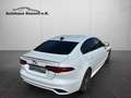 Jaguar XE R-Dynamic  AWD*Black Pack*Navi*Leder*LED* Weiß - thumbnail 13