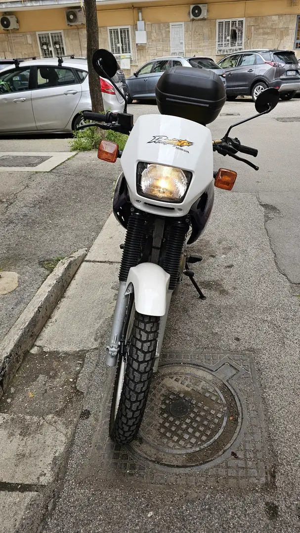 Honda NX 650 Dominator Wit - 1