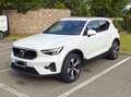 Volvo XC40 XC40 2023 1.5 t2 Core auto Bianco - thumbnail 2