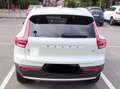 Volvo XC40 XC40 2023 1.5 t2 Core auto Bianco - thumbnail 3