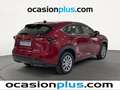 Lexus NX 300 300h Corporate 2WD Rosso - thumbnail 3
