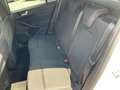 Ford Focus ST-Line 5trg. Blanc - thumbnail 16