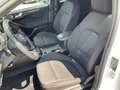 Ford Focus ST-Line 5trg. Blanc - thumbnail 18