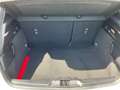 Ford Focus ST-Line 5trg. Blanc - thumbnail 17