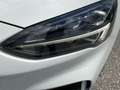 Ford Focus ST-Line 5trg. Blanc - thumbnail 11