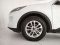Ford Kuga 1.5 ecoblue Titanium 2wd 120cv auto White - thumbnail 29
