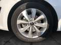 Kia Rio Spirit 1.0T DCT Navigations-Paket Weiß - thumbnail 5