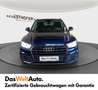 Audi Q5 2.0 TDI Blu/Azzurro - thumbnail 2