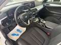 BMW 520 d Lim. Aut. *LED*KAMERA*GLASDACH* White - thumbnail 9
