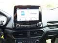 Ford EcoSport 1.0 EcoBoost Titanium SHZ LED  ALU DAB Blau - thumbnail 18