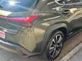 Lexus UX 250h 250 Hybrid Executive Vert - thumbnail 9