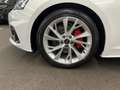 Audi A5 advanced 40 TFSI S tr. LED RFK NAVI Weiß - thumbnail 13