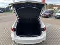 Mazda 6 2.5 194 HOMURA/BOSE/HUD/SUNROOF Weiß - thumbnail 12