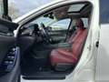 Mazda 6 2.5 194 HOMURA/BOSE/HUD/SUNROOF Weiß - thumbnail 14