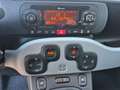 Fiat Panda Panda 1,2 69 4x2 Cross Cross Blau - thumbnail 10