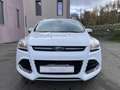 Ford Kuga Kuga II 2013 2.0 tdci Titanium 4wd STUPENDA IN TUT Blanco - thumbnail 3