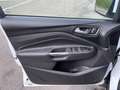 Ford Kuga Kuga II 2013 2.0 tdci Titanium 4wd STUPENDA IN TUT Blanco - thumbnail 15