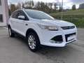Ford Kuga Kuga II 2013 2.0 tdci Titanium 4wd STUPENDA IN TUT Blanco - thumbnail 4