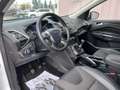 Ford Kuga Kuga II 2013 2.0 tdci Titanium 4wd STUPENDA IN TUT Blanco - thumbnail 9