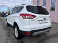 Ford Kuga Kuga II 2013 2.0 tdci Titanium 4wd STUPENDA IN TUT Blanco - thumbnail 7
