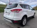 Ford Kuga Kuga II 2013 2.0 tdci Titanium 4wd STUPENDA IN TUT Blanco - thumbnail 8