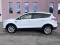 Ford Kuga Kuga II 2013 2.0 tdci Titanium 4wd STUPENDA IN TUT Blanco - thumbnail 6