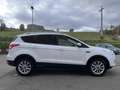 Ford Kuga Kuga II 2013 2.0 tdci Titanium 4wd STUPENDA IN TUT Blanco - thumbnail 2