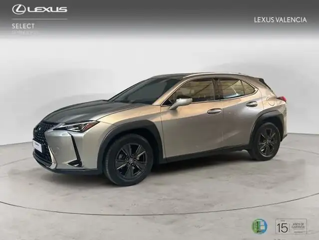 Lexus UX 250h Business 2WD